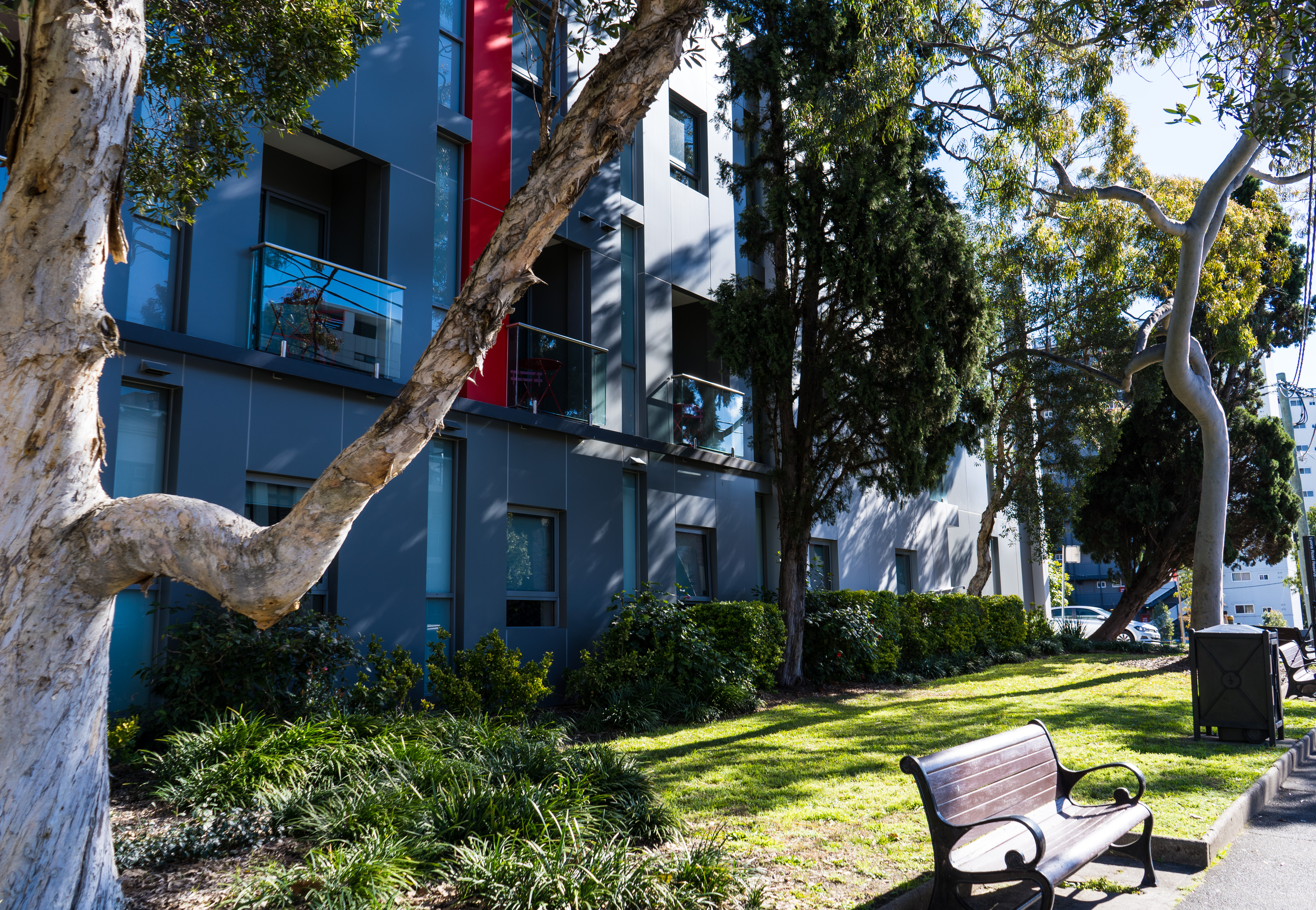Exterior of building and trees at Best Western Plus Camperdown Suite